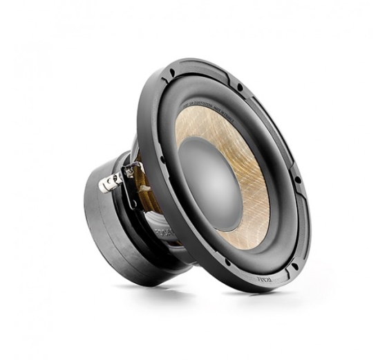 LOA SUB HƠI FOCAL FLAX EVO P 20 FE