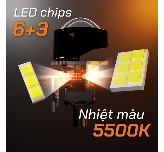 LED WOLF LIGHT NEW ARRIVAL